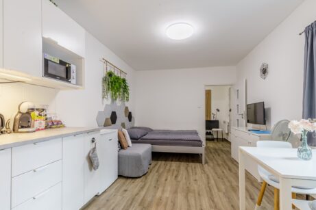 Pohled od kuchyně do obytné části apartmánu – Neratovice, Masarykova 69/2